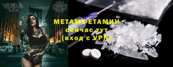 хмурый Аркадак