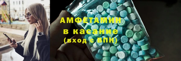 хмурый Аркадак