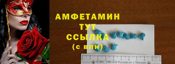 хмурый Аркадак