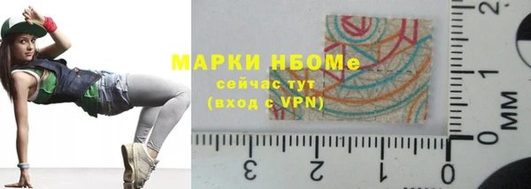 хмурый Аркадак