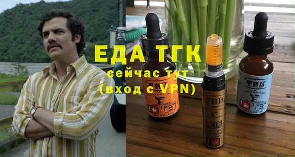 хмурый Аркадак