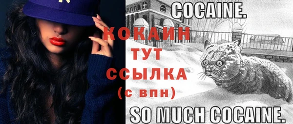 крисы Арсеньев