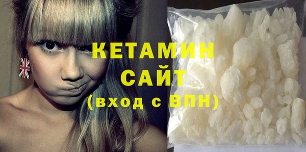 хмурый Аркадак