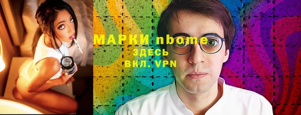 хмурый Аркадак
