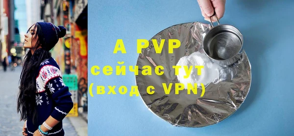 хмурый Аркадак