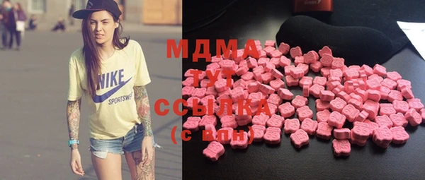 хмурый Аркадак