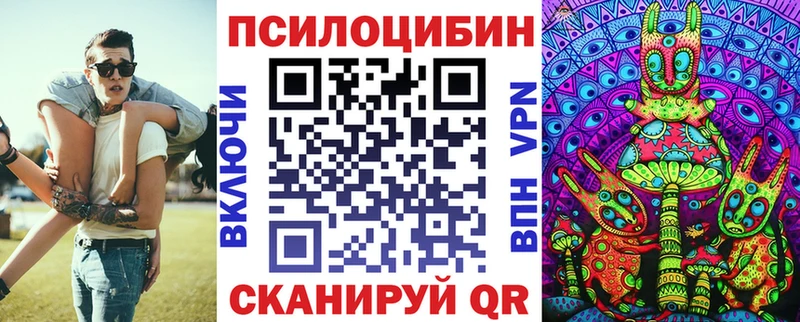 Псилоцибиновые грибы прущие грибы  Купить где  Благодарный 
