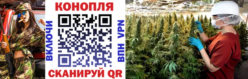 Каннабис OG Kush  Купить закладки  Благодарный 
